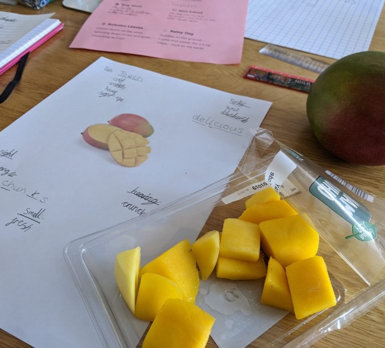 A learner requested to write a poem about mangoes - we used our senses to collect ideas. Sliced mango on a table with notes and a whole mango nearby.